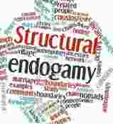 endogamy vs exogamy