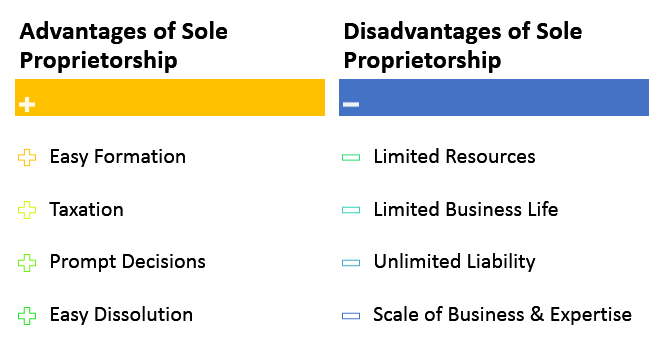 sole-proprietorships-advantages-disadvantages-piktochart